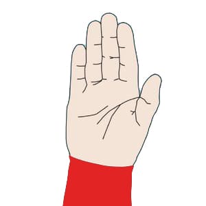 Stop scuba diving hand signal