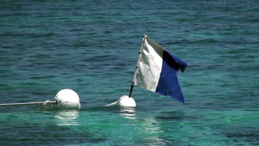 diving flag