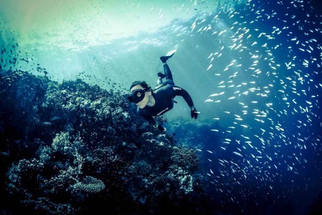 what is free diving