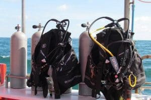 photo dive gear
